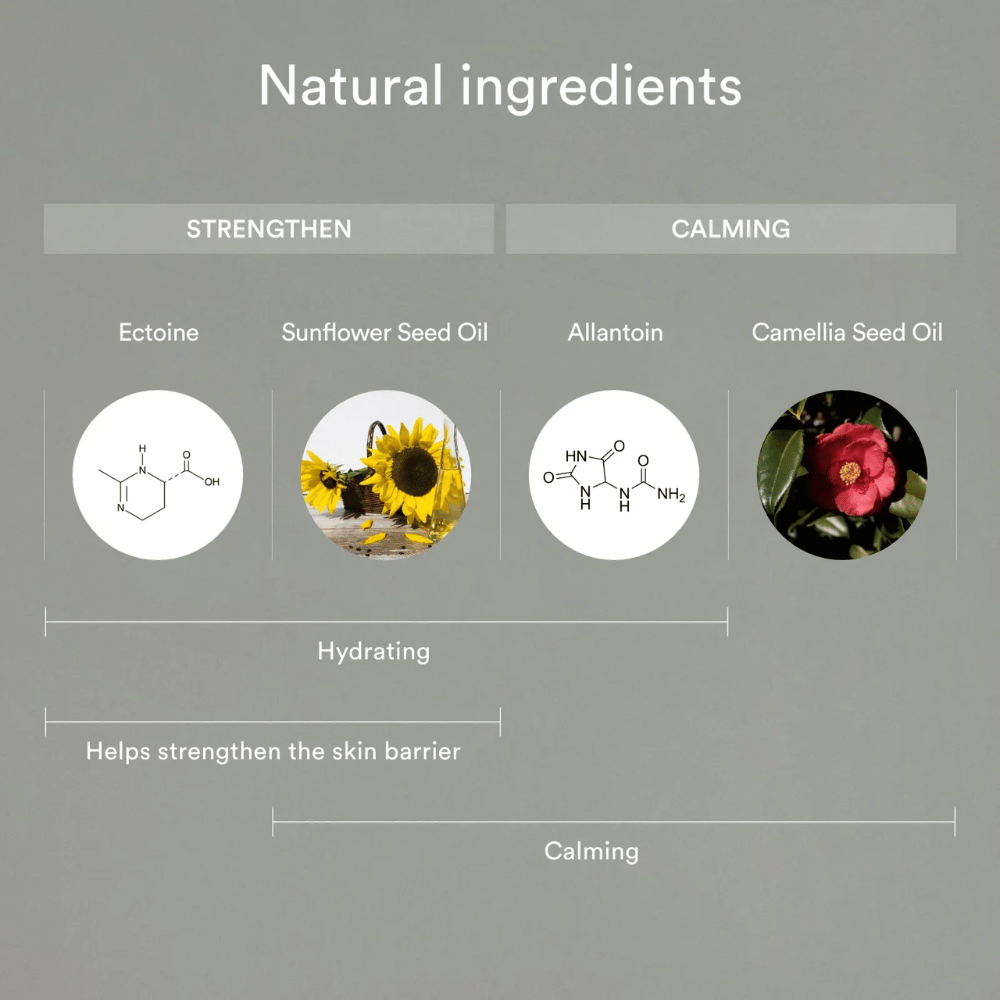 Obrázok ukazuje prírodné ingrediencie, ktoré posilňujú a upokojujú pokožku: Ectoin a olej zo slnečnicových semien pomáhajú hydratovať a posilňovať kožnú bariéru, zatiaľ čo alantoín a olej z kaméliových semien upokojujú a chránia citlivú pokožku.
