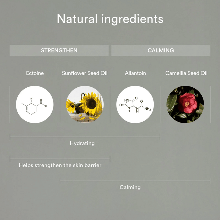 Obrázok ukazuje prírodné ingrediencie, ktoré posilňujú a upokojujú pokožku: Ectoin a olej zo slnečnicových semien pomáhajú hydratovať a posilňovať kožnú bariéru, zatiaľ čo alantoín a olej z kaméliových semien upokojujú a chránia citlivú pokožku.