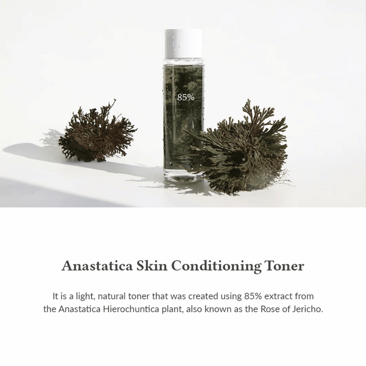 Anastatica Skin Conditioning Toner je ľahká a prírodná pleťová voda s 85 % extraktom z Anastatica Hierochuntica – známej aj ako Jerichova ruža. Efektívne hydratuje, upokojuje a vyrovnáva pleť.