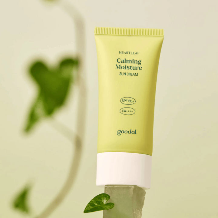 Goodal Heartleaf Calming Moisture Sun Cream SPF50+ PA++++ umiestnený na sklenenej doske so zelenou rastlinou v pozadí – upokojujúci opaľovací krém pre citlivú pokožku.