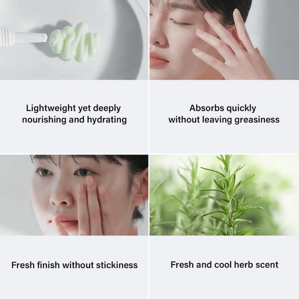 Štyri obrázky, ktoré ukazujú výhody starostlivosti o pleť. Hore vľavo je vidieť zelený krém na štetci s textom "Ľahký, ale hlboko výživný a hydratačný." Hore vpravo je žena, ktorá aplikuje produkt s textom "Rýchlo sa vstrebáva bez zanechania mastnoty." Dole vľavo je žena, ktorá si masíruje produkt, s textom "Svieži finiš bez lepkavosti." Dole vpravo je obrázok rozmarínu s textom "Svieža a chladivá bylinná vôňa."