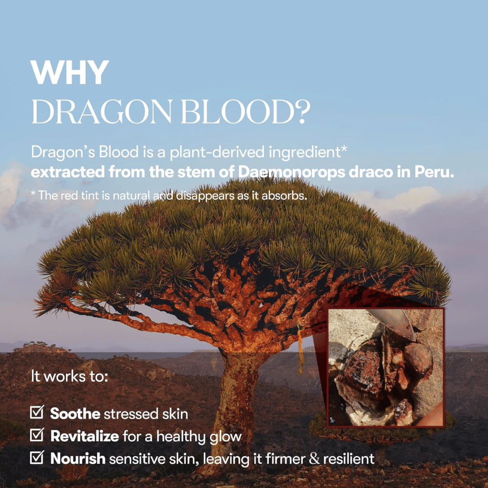 Ilustrácia stromu Dragon's Blood (Daemonorops draco) v Peru, zložka v VT Red Booster Reedle Shot 100, ktorá upokojuje stresovanú pokožku, posilňuje pokožkovú bariéru a dodáva zdravý lesk.