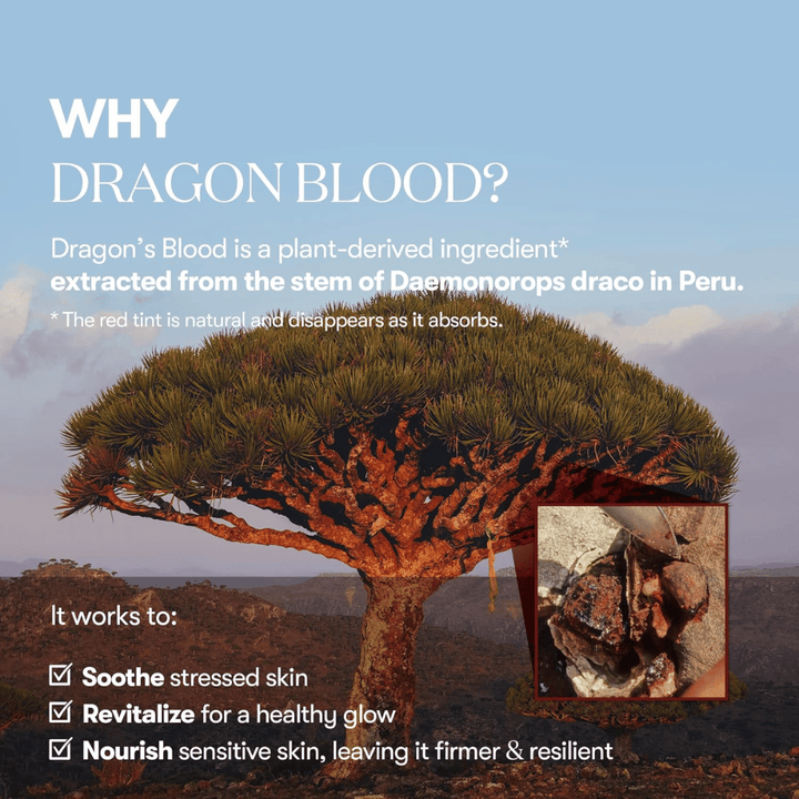 Ilustrácia stromu Dragon's Blood (Daemonorops draco) v Peru, zložka v VT Red Booster Reedle Shot 100, ktorá upokojuje stresovanú pokožku, posilňuje pokožkovú bariéru a dodáva zdravý lesk.