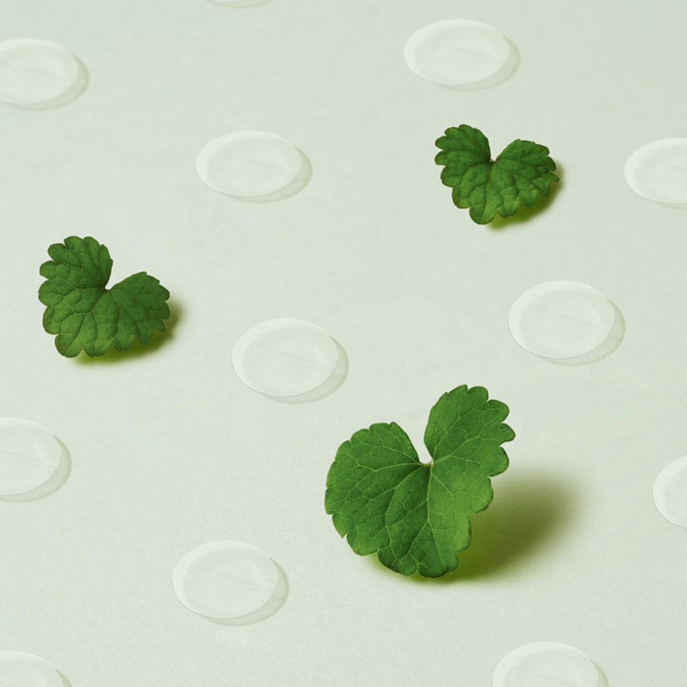 Priehľadné spot patches spolu s listami centella, ktoré ilustrujú Purito Wonder Releaf Centella Spot Patch a ich upokojujúci účinok na zapálenú a citlivú pokožku.